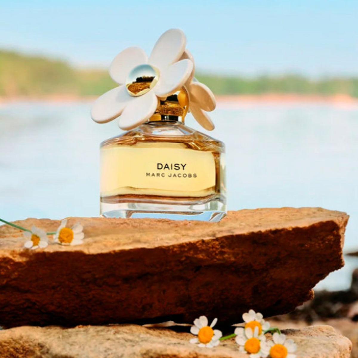 Daisy Eau de Toilette Marc Jacobs 100ML